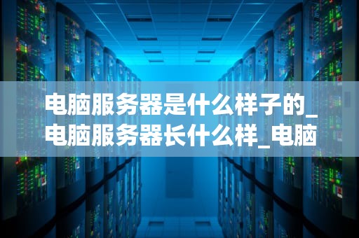 电脑服务器是什么样子的_电脑服务器长什么样_电脑服务器的形态与功能