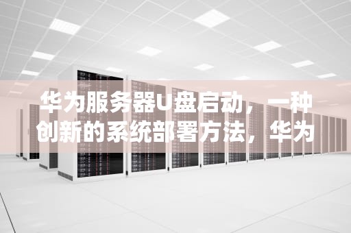华为服务器U盘启动，一种创新的系统部署方法，华为服务器u盘启动按哪个键启动