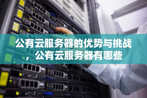 公有云服务器的优势与挑战，公有云服务器有哪些