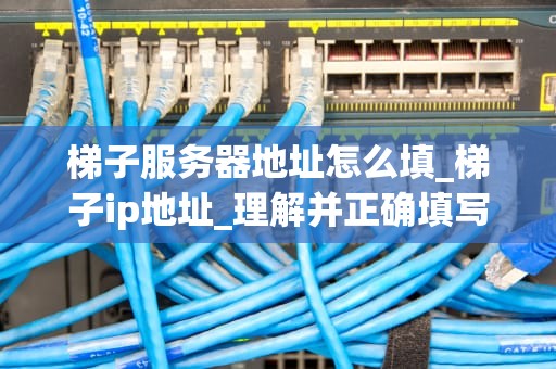 梯子服务器地址怎么填_梯子ip地址_理解并正确填写梯子服务器地址