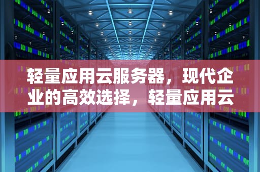 轻量应用云服务器，现代企业的高效选择，轻量应用云服务器 东南亚