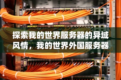 探索我的世界服务器的异域风情，我的世界外国服务器ip