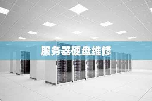 服务器硬盘维修