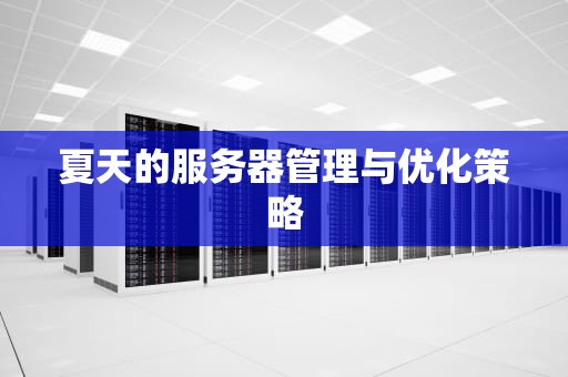 夏天的服务器管理与优化策略