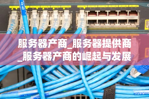 服务器产商_服务器提供商_服务器产商的崛起与发展