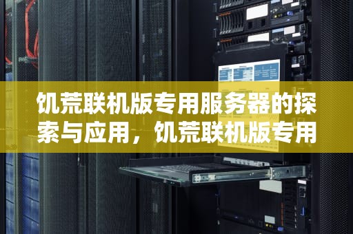 饥荒联机版专用服务器的探索与应用，饥荒联机版专用服务器是什么意思