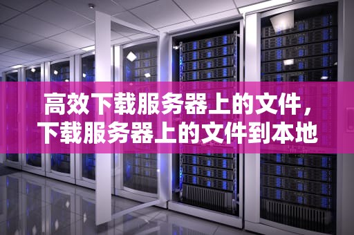 高效下载服务器上的文件，下载服务器上的文件到本地