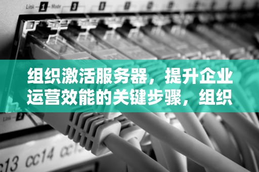 组织激活服务器，提升企业运营效能的关键步骤，组织激活服务器怎么连接