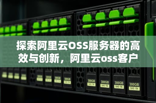 探索阿里云OSS服务器的高效与创新，阿里云oss客户端