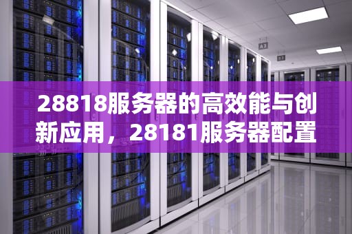 28818服务器的高效能与创新应用，28181服务器配置