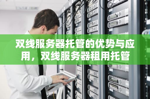 双线服务器托管的优势与应用，双线服务器租用托管