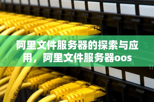 阿里文件服务器的探索与应用，阿里文件服务器oos