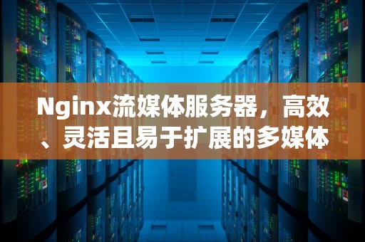 Nginx流媒体服务器，高效、灵活且易于扩展的多媒体解决方案，nginx流媒体服务器配置