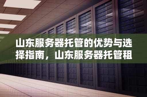 山东服务器托管的优势与选择指南，山东服务器托管租用