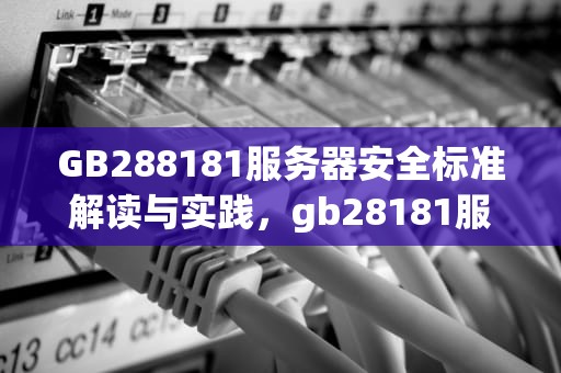 GB288181服务器安全标准解读与实践，gb28181服务器搭建