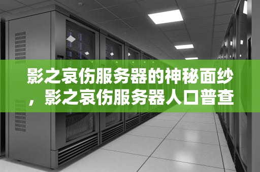 影之哀伤服务器的神秘面纱，影之哀伤服务器人口普查