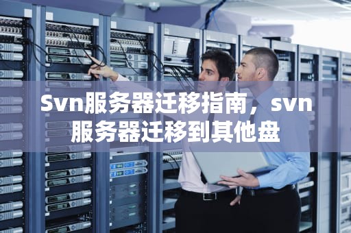 Svn服务器迁移指南，svn服务器迁移到其他盘