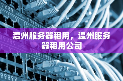 温州服务器租用，温州服务器租用公司