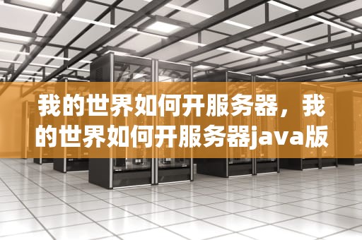 我的世界如何开服务器，我的世界如何开服务器java版