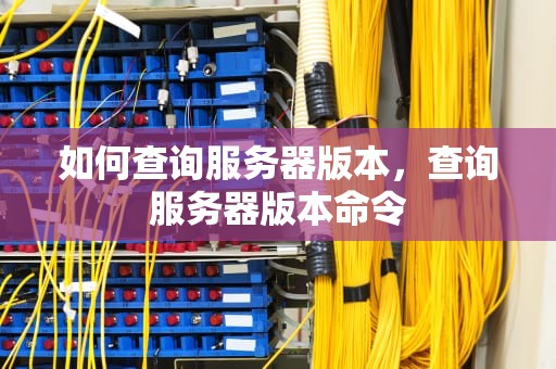 如何查询服务器版本，查询服务器版本命令