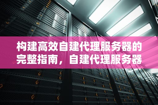构建高效自建代理服务器的完整指南，自建代理服务器访问外网违法吗