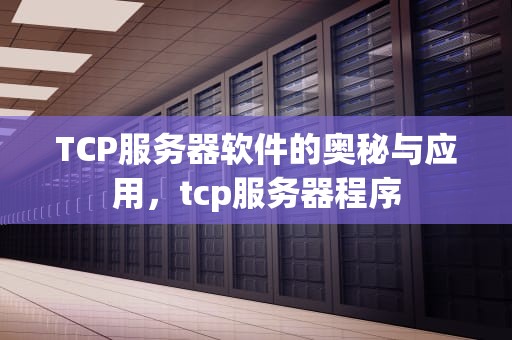 TCP服务器软件的奥秘与应用，tcp服务器程序