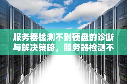 服务器检测不到硬盘的诊断与解决策略，服务器检测不到硬盘怎么办
