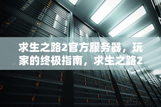 求生之路2官方服务器，玩家的终极指南，求生之路2官方服务器进不去