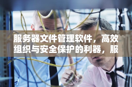 服务器文件管理软件，高效组织与安全保护的利器，服务器文件管理软件有哪些