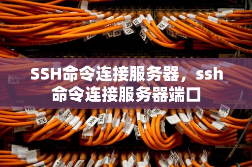 SSH命令连接服务器，ssh命令连接服务器端口