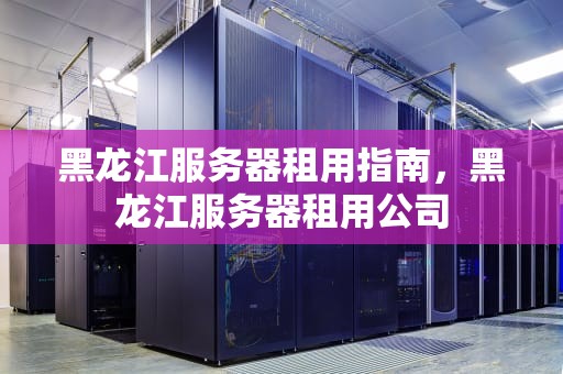 黑龙江服务器租用指南，黑龙江服务器租用公司