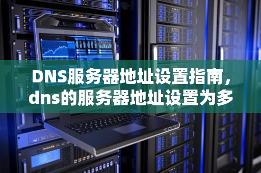 DNS服务器地址设置指南，dns的服务器地址设置为多少