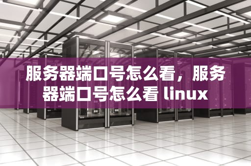 服务器端口号怎么看，服务器端口号怎么看 linux