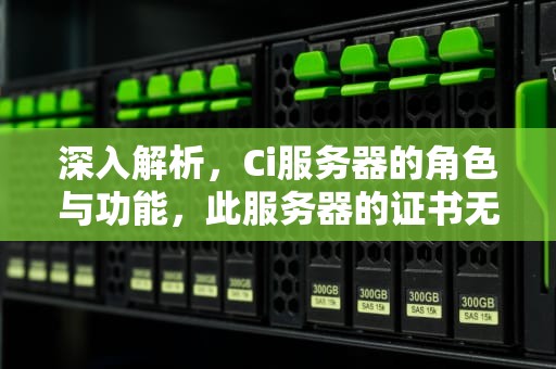 深入解析，Ci服务器的角色与功能，此服务器的证书无效,您可能正在连接到一个伪装成