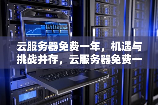 云服务器免费一年，机遇与挑战并存，云服务器免费一年下载