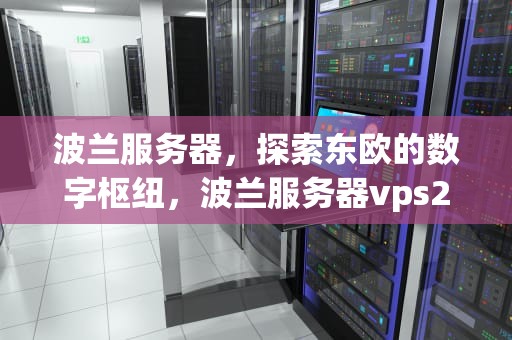 波兰服务器，探索东欧的数字枢纽，波兰服务器vps234