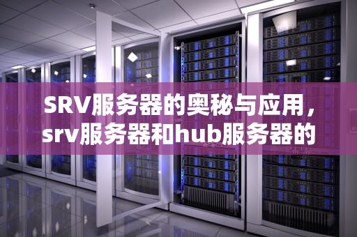 SRV服务器的奥秘与应用，srv服务器和hub服务器的作用