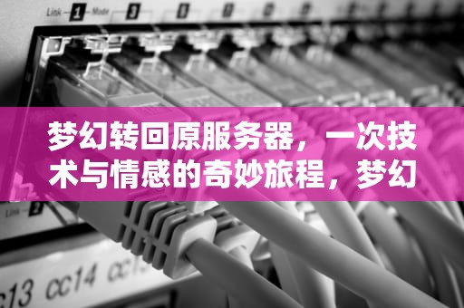 梦幻转回原服务器，一次技术与情感的奇妙旅程，梦幻转回原服务器时间锁多久