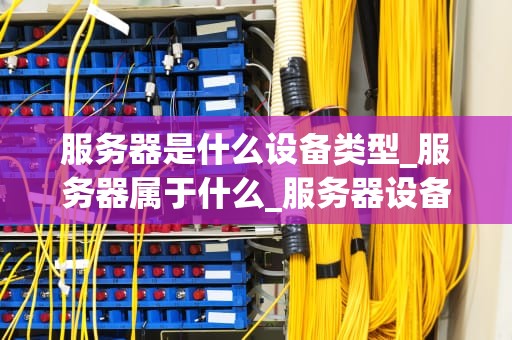 服务器是什么设备类型_服务器属于什么_服务器设备类型及其应用