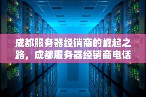 成都服务器经销商的崛起之路，成都服务器经销商电话