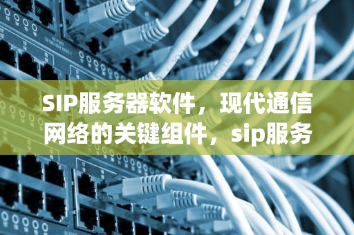 SIP服务器软件，现代通信网络的关键组件，sip服务器软件下载