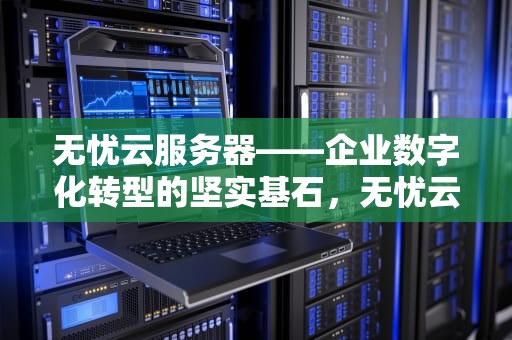 无忧云服务器——企业数字化转型的坚实基石，无忧云服务器怎么样