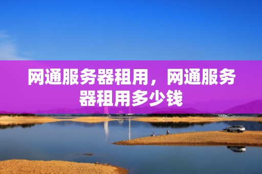网通服务器租用，网通服务器租用多少钱