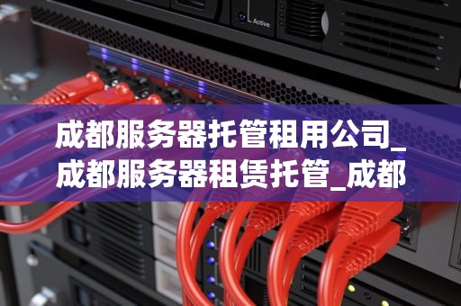 成都服务器托管租用公司_成都服务器租赁托管_成都服务器托管租用公司：助力企业信息化建设