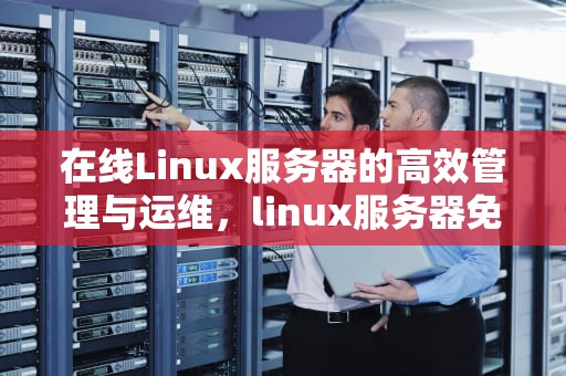 在线Linux服务器的高效管理与运维，linux服务器免费