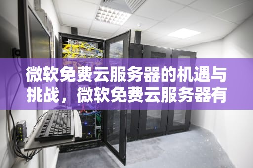 微软免费云服务器的机遇与挑战，微软免费云服务器有哪些