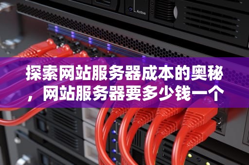 探索网站服务器成本的奥秘，网站服务器要多少钱一个