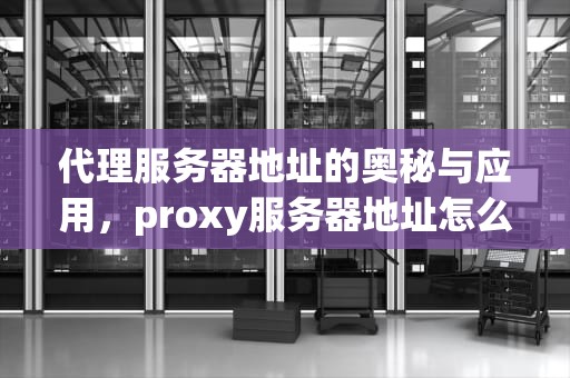 代理服务器地址的奥秘与应用，proxy服务器地址怎么填