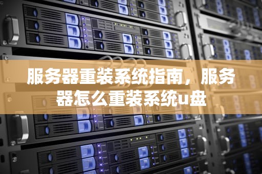 服务器重装系统指南，服务器怎么重装系统u盘