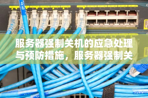 服务器强制关机的应急处理与预防措施，服务器强制关机后无法启动